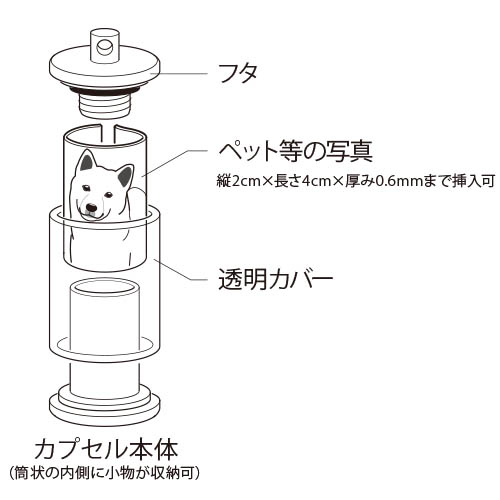 メモリーカプセル - 2