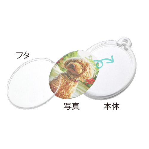 ハメパチ